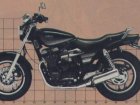 1988 Yamaha YX 600 Radian